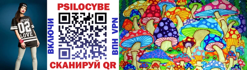 Галлюциногенные грибы Cubensis Курск